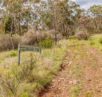 Old Mountain Road Walking Track - Hervey Bay Accommodation