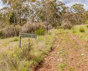 Old Mountain Road Walking Track - Hervey Bay Accommodation 0