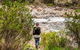 Old Mountain Road Walking Track - thumb 1