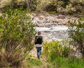 Old Mountain Road Walking Track - Hervey Bay Accommodation 1