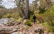 Old Mountain Road Walking Track - thumb 2