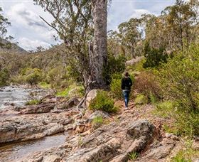 Old Mountain Road Walking Track - Hervey Bay Accommodation 2
