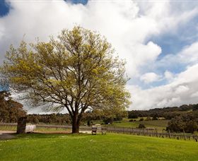 Tuck's Ridge - Hervey Bay Accommodation 2