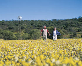 Koolanooka Springs - Hervey Bay Accommodation 0