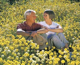 Koolanooka Springs - Hervey Bay Accommodation 3