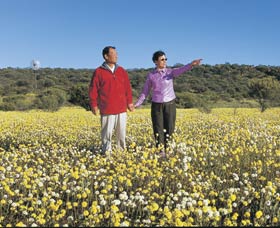 Koolanooka Springs - Hervey Bay Accommodation 1