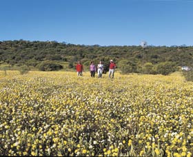 Koolanooka Springs - Hervey Bay Accommodation 2