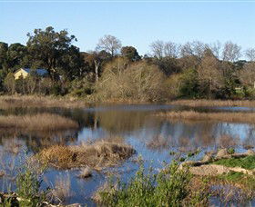Coolart Wetlands And Homestead - Hervey Bay Accommodation 0