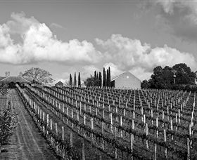 Willow Creek Vineyard - Hervey Bay Accommodation 0