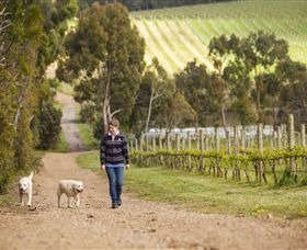 Willow Creek Vineyard - Hervey Bay Accommodation 1