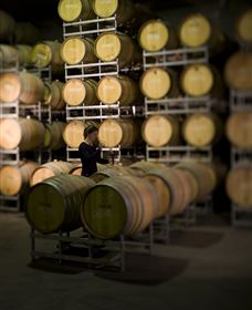 Willow Creek Vineyard - Hervey Bay Accommodation 2