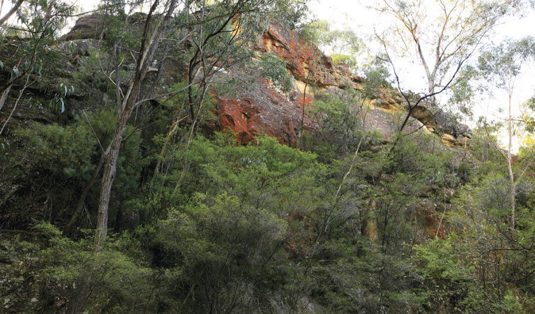 Sodwalls NSW Hervey Bay Accommodation
