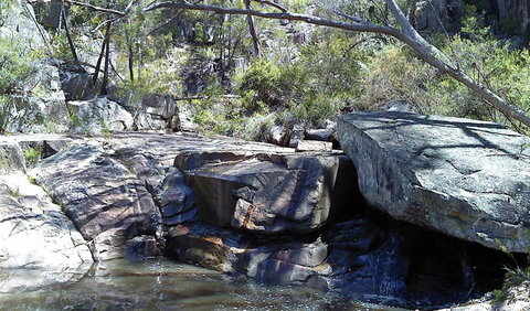 Torrington State Conservation Area - Hervey Bay Accommodation 0