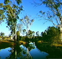 Dingo Creek Park