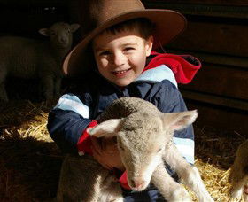 Warrook Farm - Hervey Bay Accommodation 1