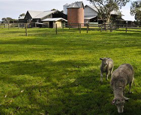 Warrook Farm - Hervey Bay Accommodation 4