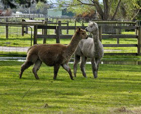 Warrook Farm - Hervey Bay Accommodation 6