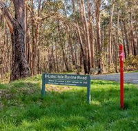Lobs Hole Ravine 4WD Trail - Hervey Bay Accommodation
