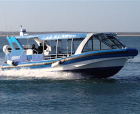 Phillip Island Nature Parks - Hervey Bay Accommodation 2