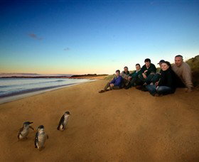 Phillip Island Nature Parks - Hervey Bay Accommodation 7