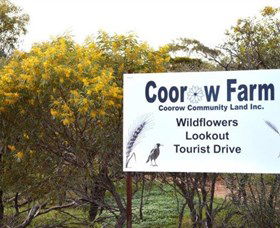 Coorow Farm Wildflower Trail - Hervey Bay Accommodation 0