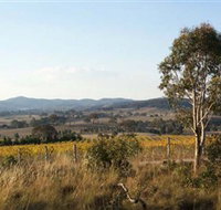 Yarrh Wines