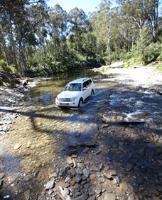 Aberfeldy Four Wheel Drive Track - Hervey Bay Accommodation 1