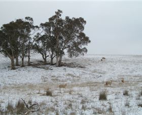 Crookwell Wind Farm - Hervey Bay Accommodation 2