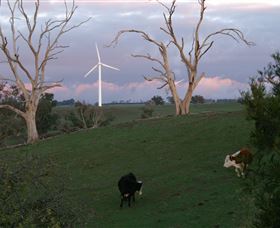 Crookwell Wind Farm - Hervey Bay Accommodation 1