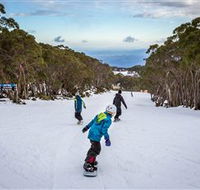 Mt Baw Baw Alpine Resort - Hervey Bay Accommodation