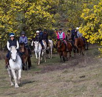 Burnelee Excursions on Horseback - Hervey Bay Accommodation