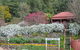Spring Bluff Railway Station - thumb 1