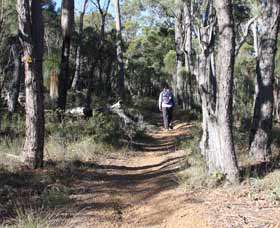 Mount Dale Walk Trail - Hervey Bay Accommodation 2