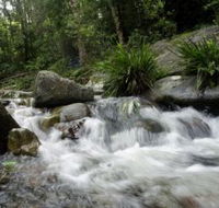 Washpool National Park - Hervey Bay Accommodation