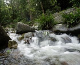 Washpool National Park - Hervey Bay Accommodation 0