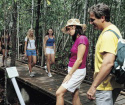 Toowoomba Water Bird Habitat - Tourism Hervey Bay 1