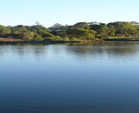 Toowoomba Water Bird Habitat - Tourism Hervey Bay 2