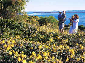 Joseph Banks Conservation Park - Tourism Hervey Bay 0