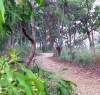 Mount Mutton Walking Trail - Hervey Bay Accommodation