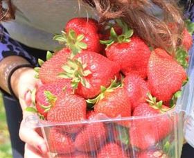 Mia Cucina Walking Food Tours - Hervey Bay Accommodation 5