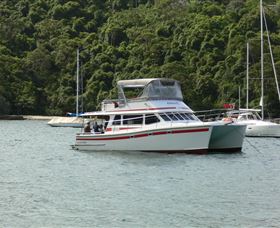 Waratah Adventure Tours - Hervey Bay Accommodation 1