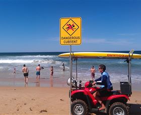 Waratah Adventure Tours - Hervey Bay Accommodation 2
