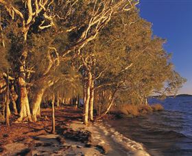 East Coast Adventure Bus - Hervey Bay Accommodation 2