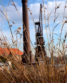 Click Walk Learn Photography Tours - Hervey Bay Accommodation 2