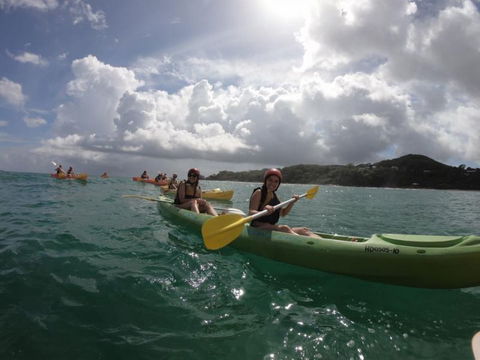 Cape Byron Kayaks - Hervey Bay Accommodation 3