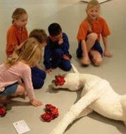 Book Windsor NSW Attractions Hervey Bay Accommodation Hervey Bay Accommodation