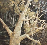 Ku-Ring-Gai Art Centre  Gallery - Hervey Bay Accommodation