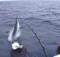 Amokura Charters - Hervey Bay Accommodation