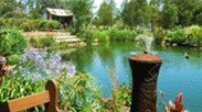 Gone Walkabout Safaris - Hervey Bay Accommodation 0