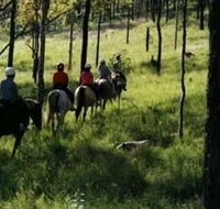 Hunter Valley Horse Riding and Adventures - Hervey Bay Accommodation